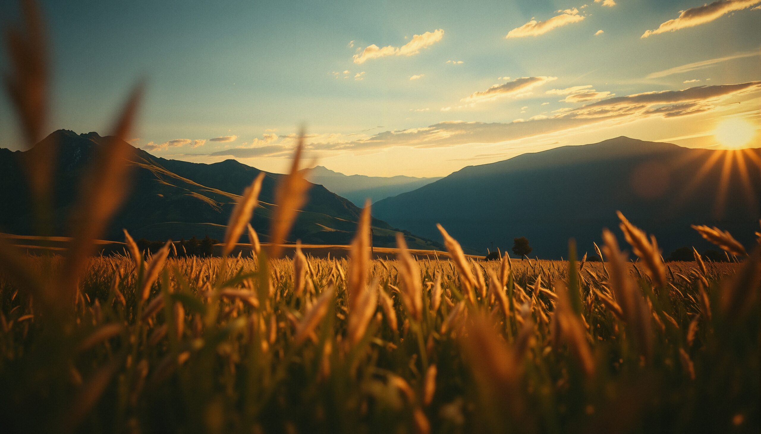 Sunset Over Serene Mountain Fields