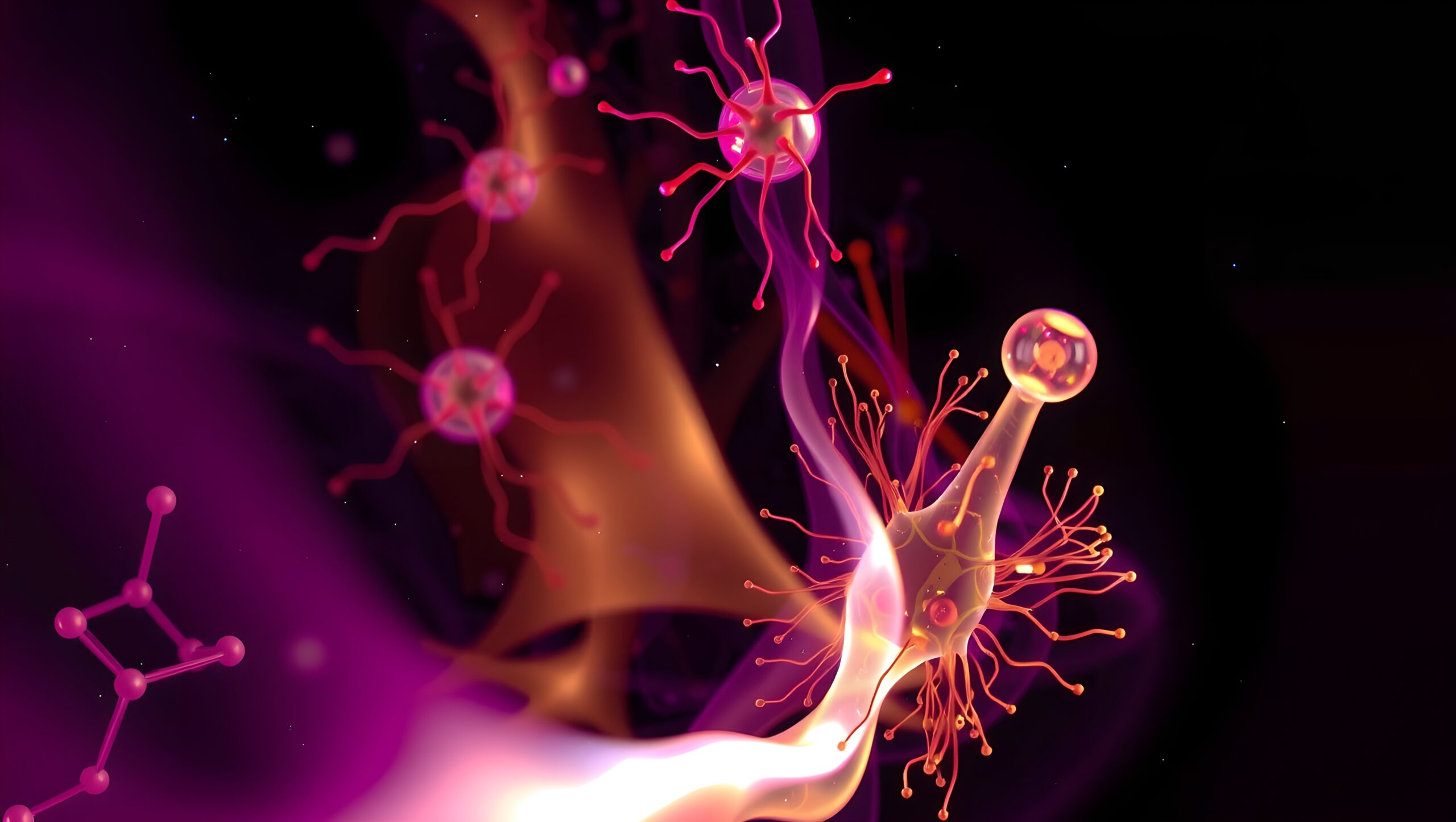 Abstract Neural Connections Visualization