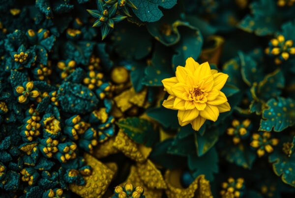 Bright yellow flower surrounded by teal foliage.