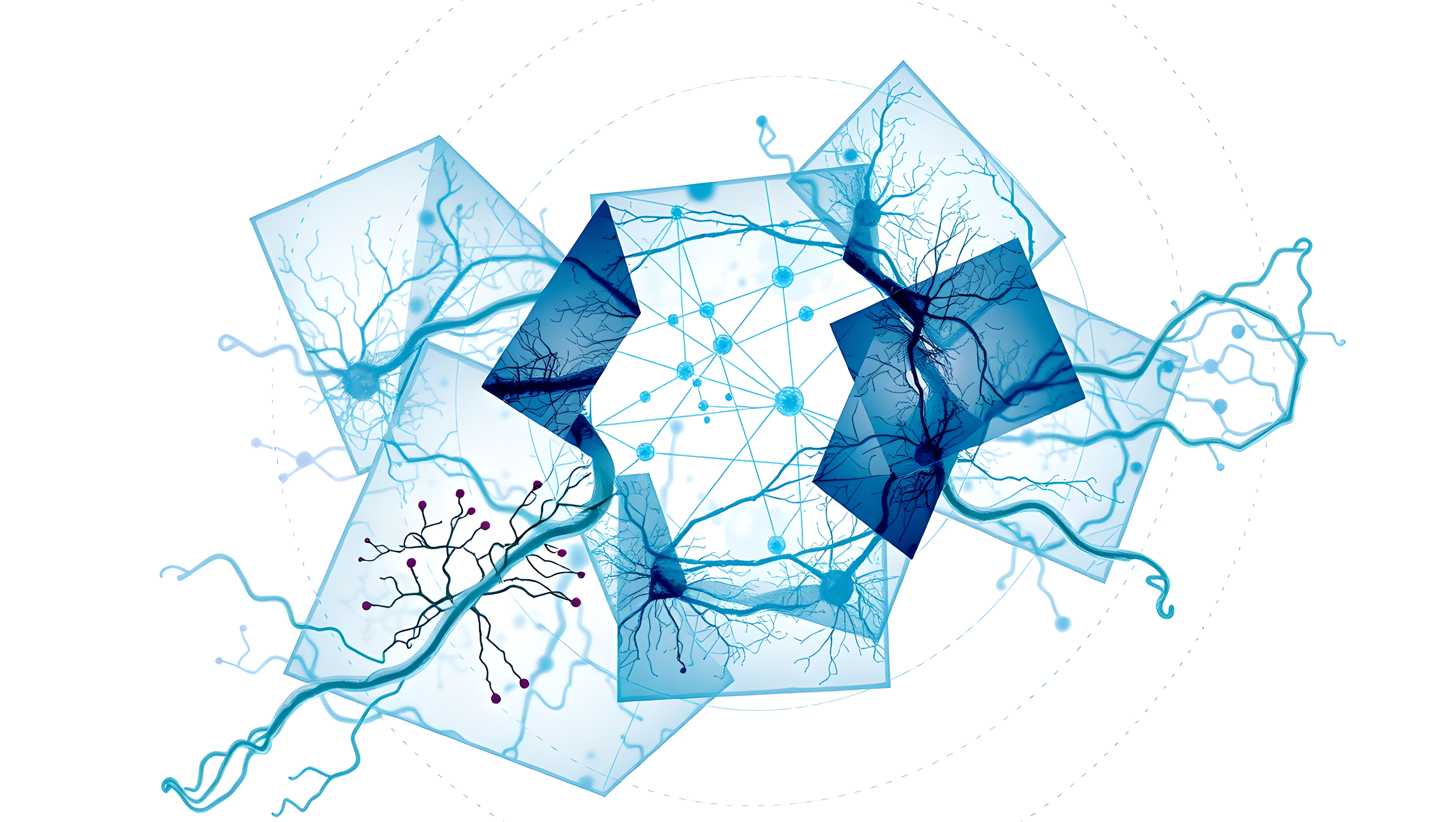 Neural Connections and Geometric Design