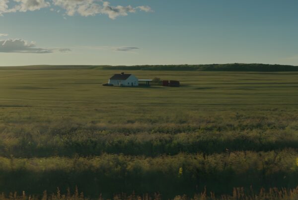 A peaceful rural landscape with a solitary white farmhouse amidst vast green fields under a blue sky with clouds.