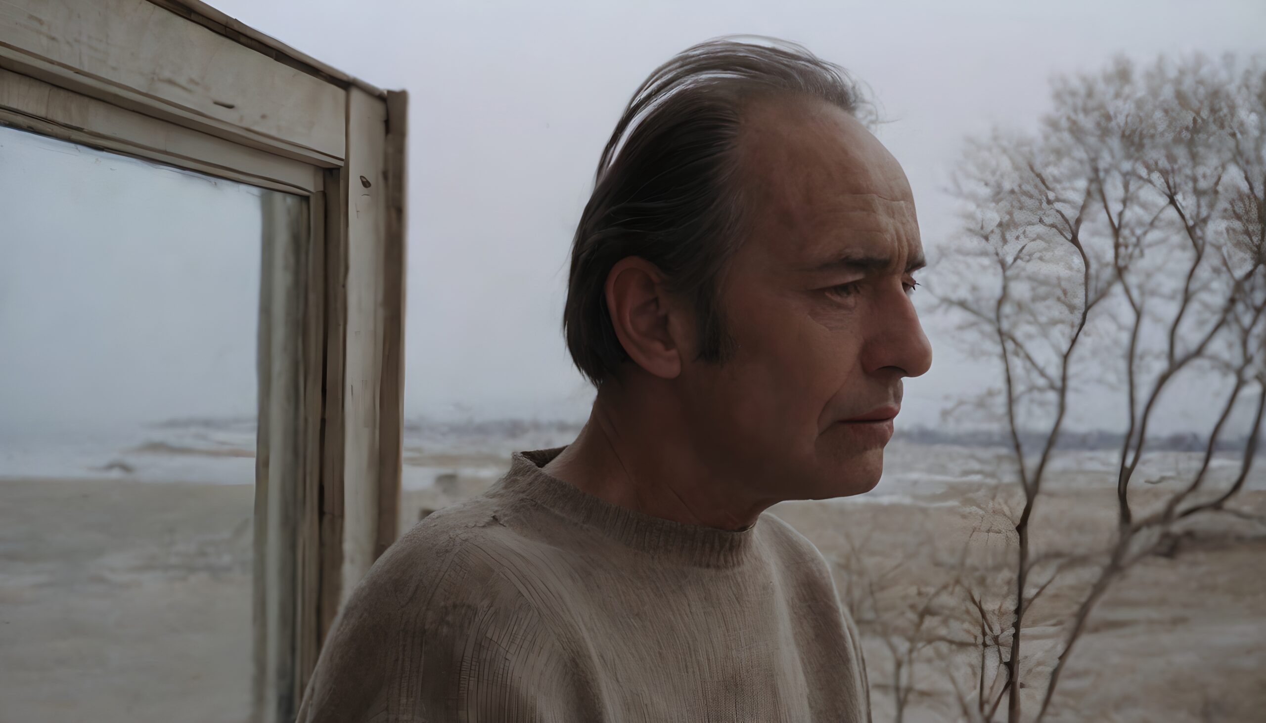 Reflective Moment by the Window