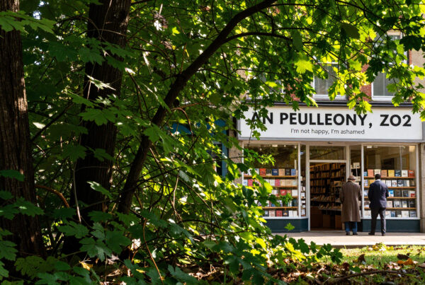 Bookstore on a Sunny Day, Framed by Lush Green Foliage