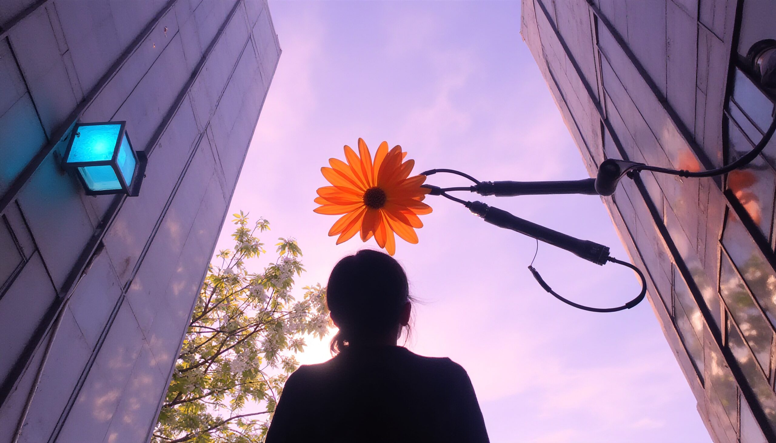 Giant Flower in Urban Setting