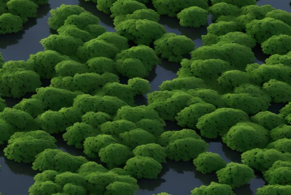 Lush green forest with narrow winding waterways reflecting sunlight.