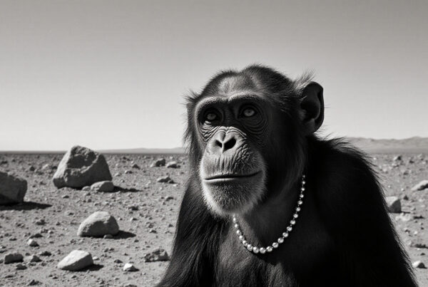 Chimpanzee wearing pearl necklace in desert landscape, black and white photo
