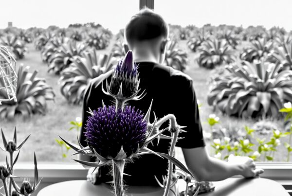 Man sitting inside looking out at purple thistles and agaves through window