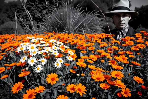 A man in a hat stands partially hidden among vibrant orange and white daisies against a grayscale background.