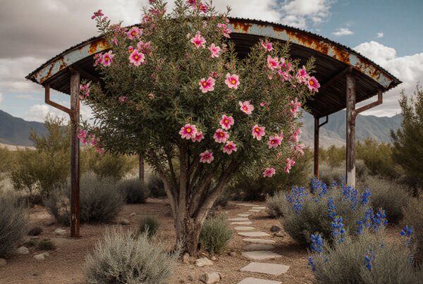 A blossoming pink tree stands under a rusted canopy surrounded by desert shrubs and vibrant flowers.