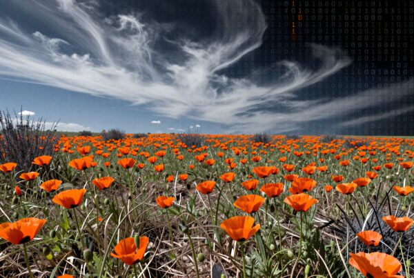 A vibrant field of orange poppies with binary code in the sky, illustrating nature's beauty and technology's presence.