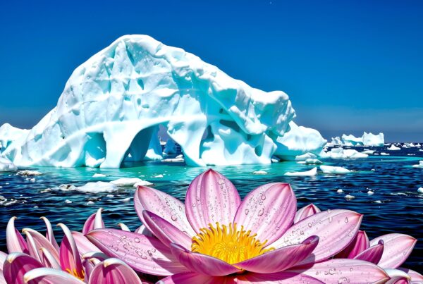 A vibrant image of a massive iceberg with stunning pink flowers in the foreground under a bright blue sky.
