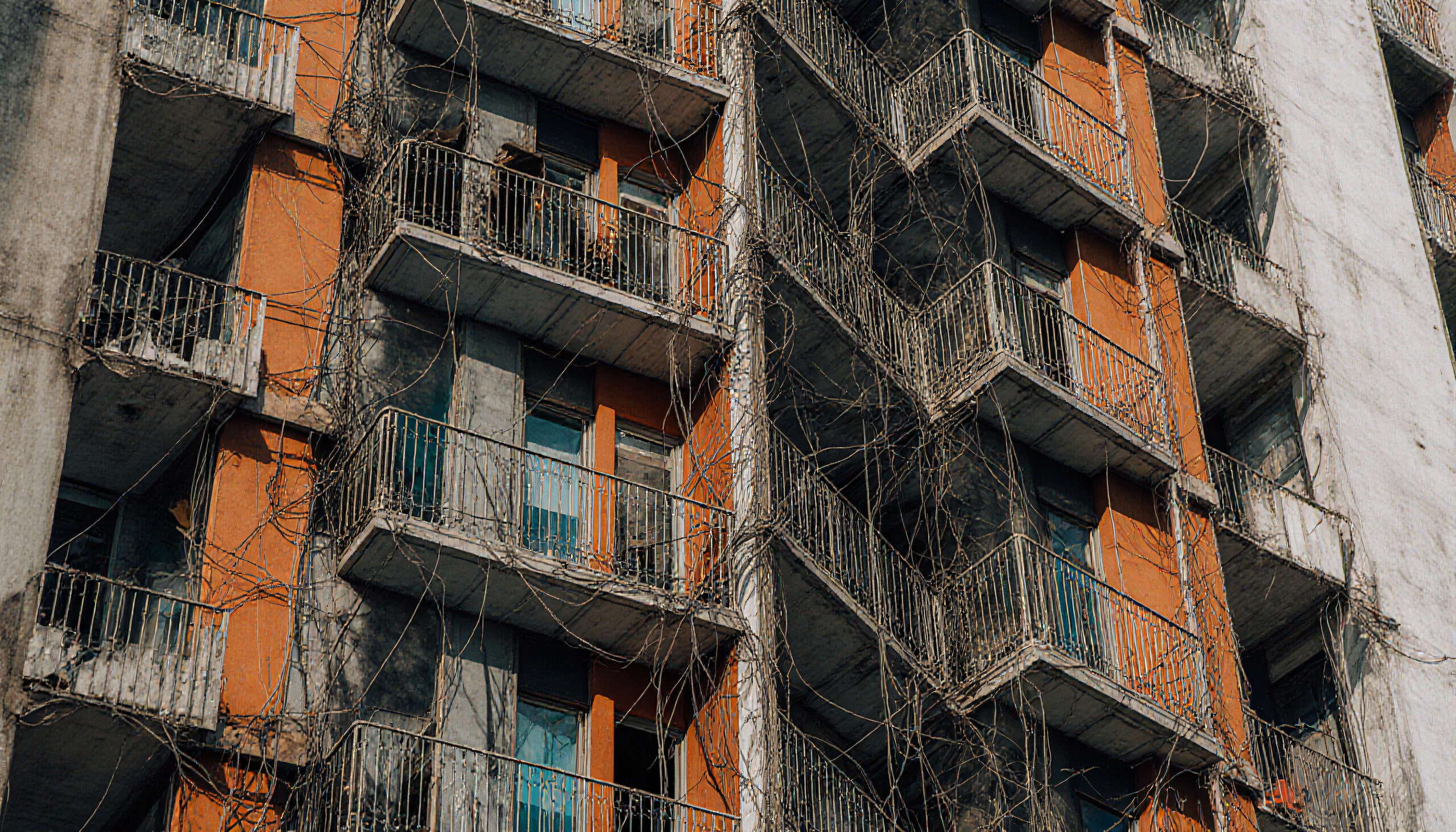 Abandoned Building Overgrown by Vines