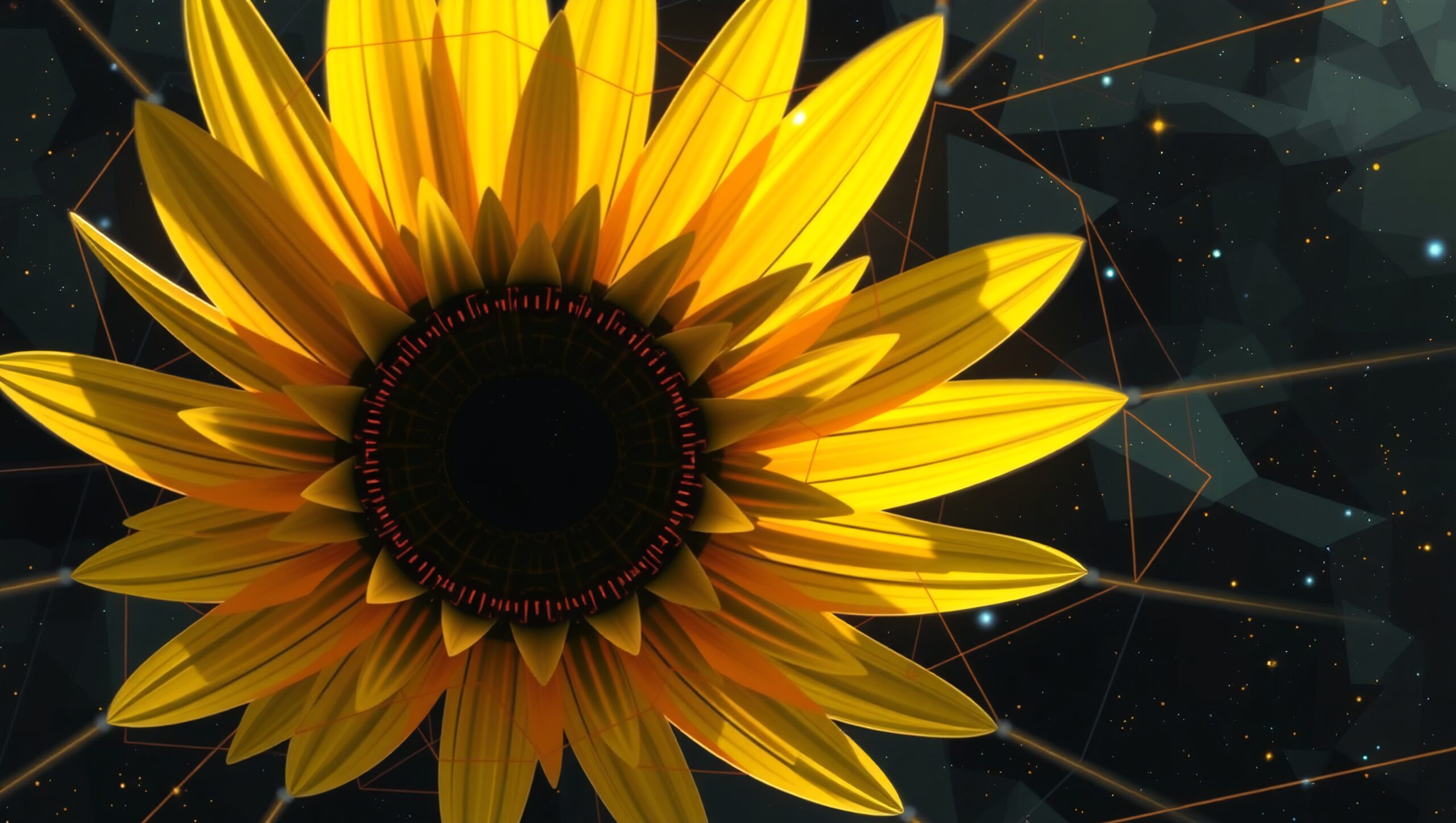 Sunflower Meets Cosmic Geometry