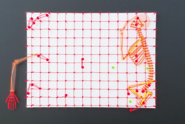 Abstract skeleton art with red grid.