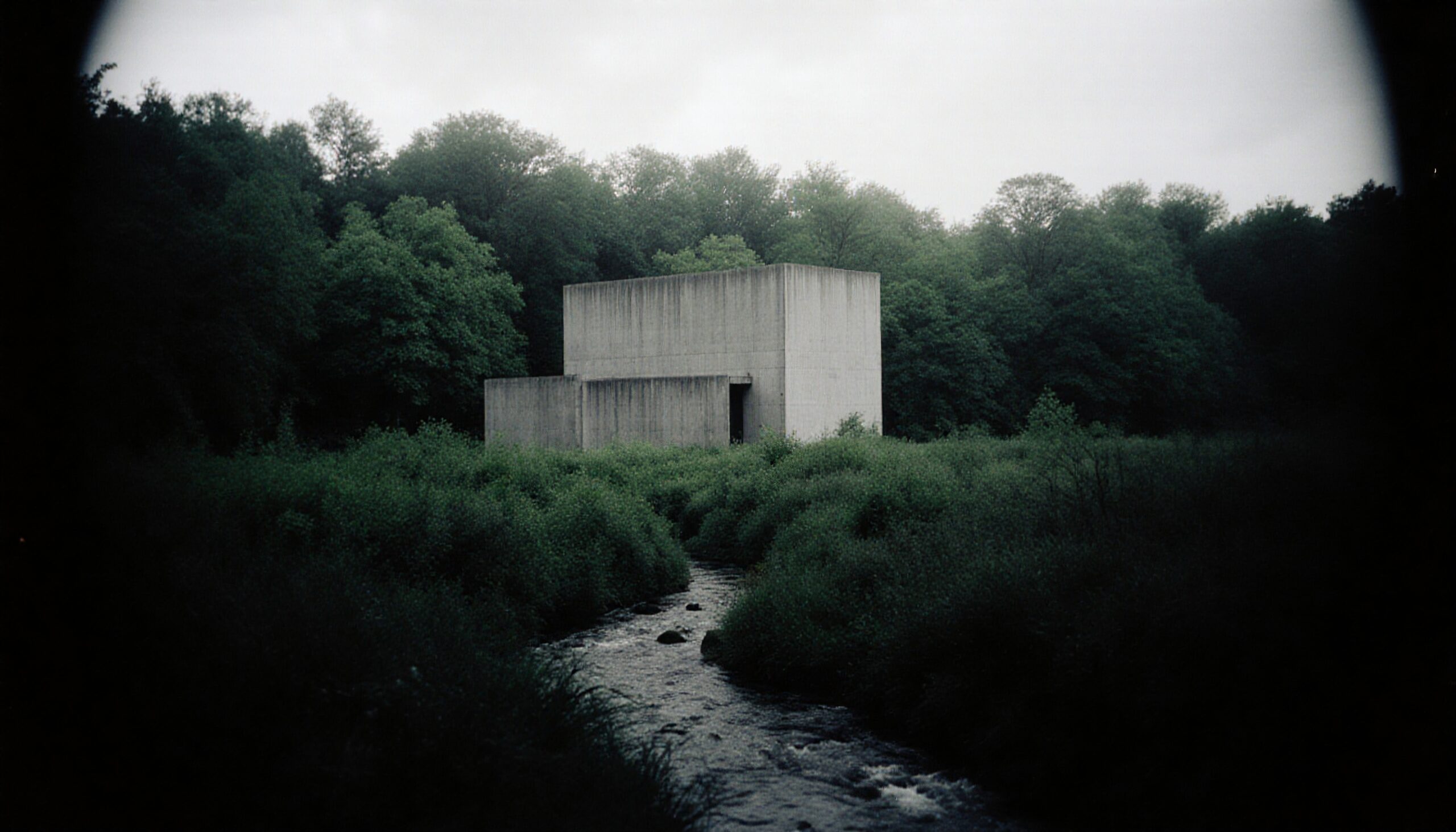 Modern Structure in Forested Landscape