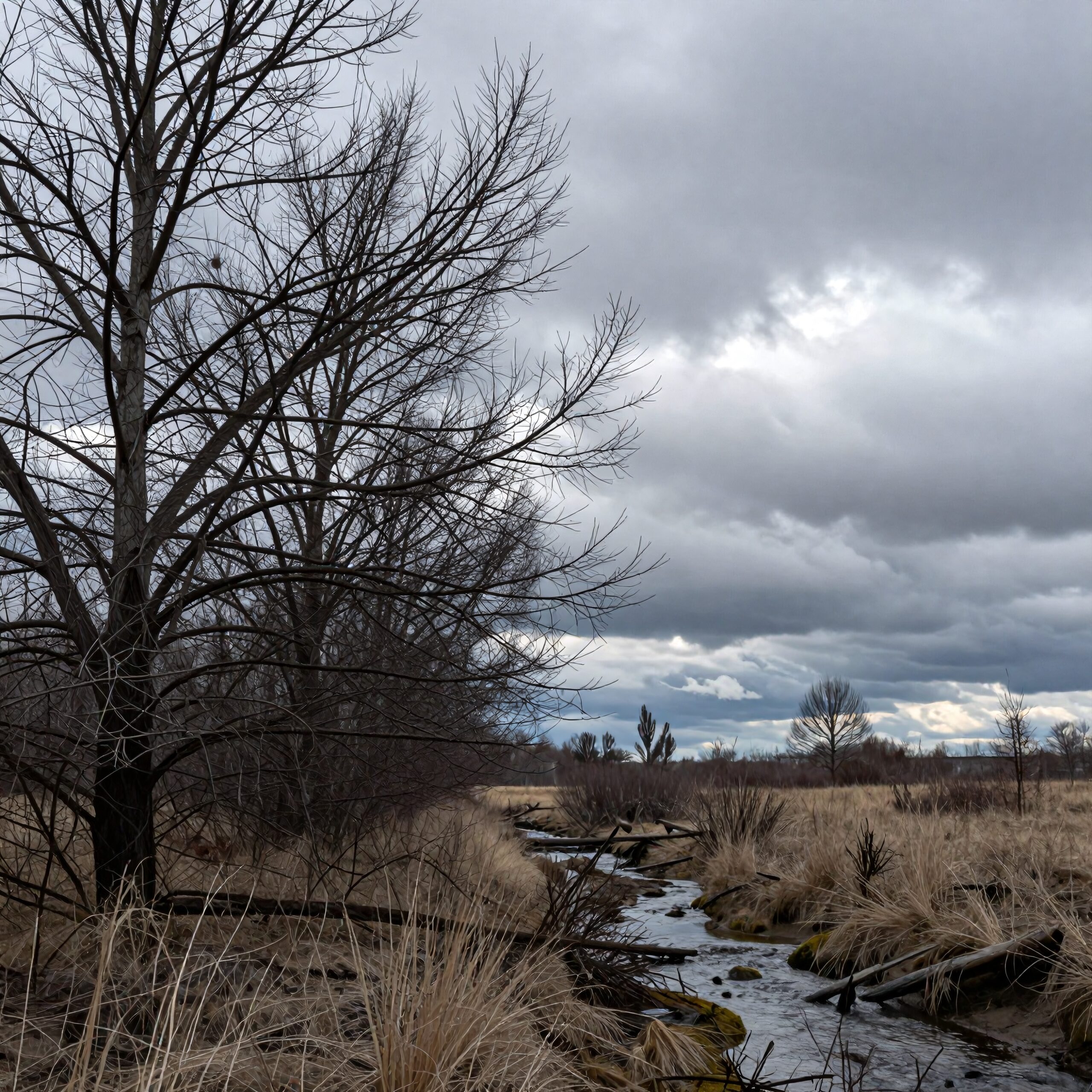 Quiet Winter Stream and Sky