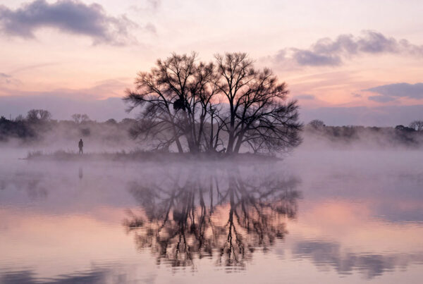 Serene mist-covered lake reflecting bare trees and colorful sky at dawn or dusk