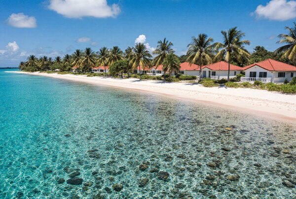 Tropical beach with palm trees and seaside cottages by clear turquoise water under a sunny sky.