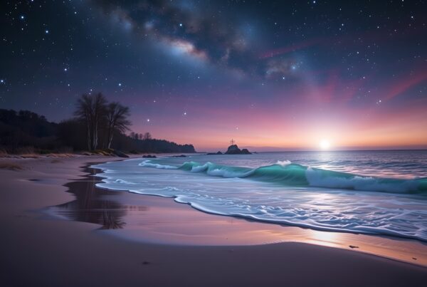 A tranquil beach scene with stunning sunset and starry sky, highlighting serene ocean waves and silhouetted trees.