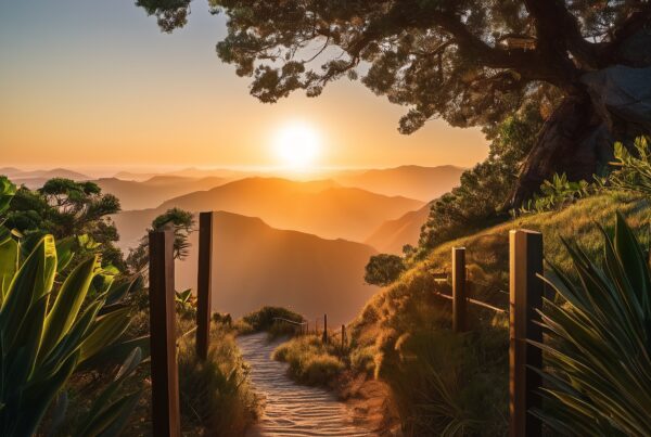 Enchanted Sunset Mountain Pathway