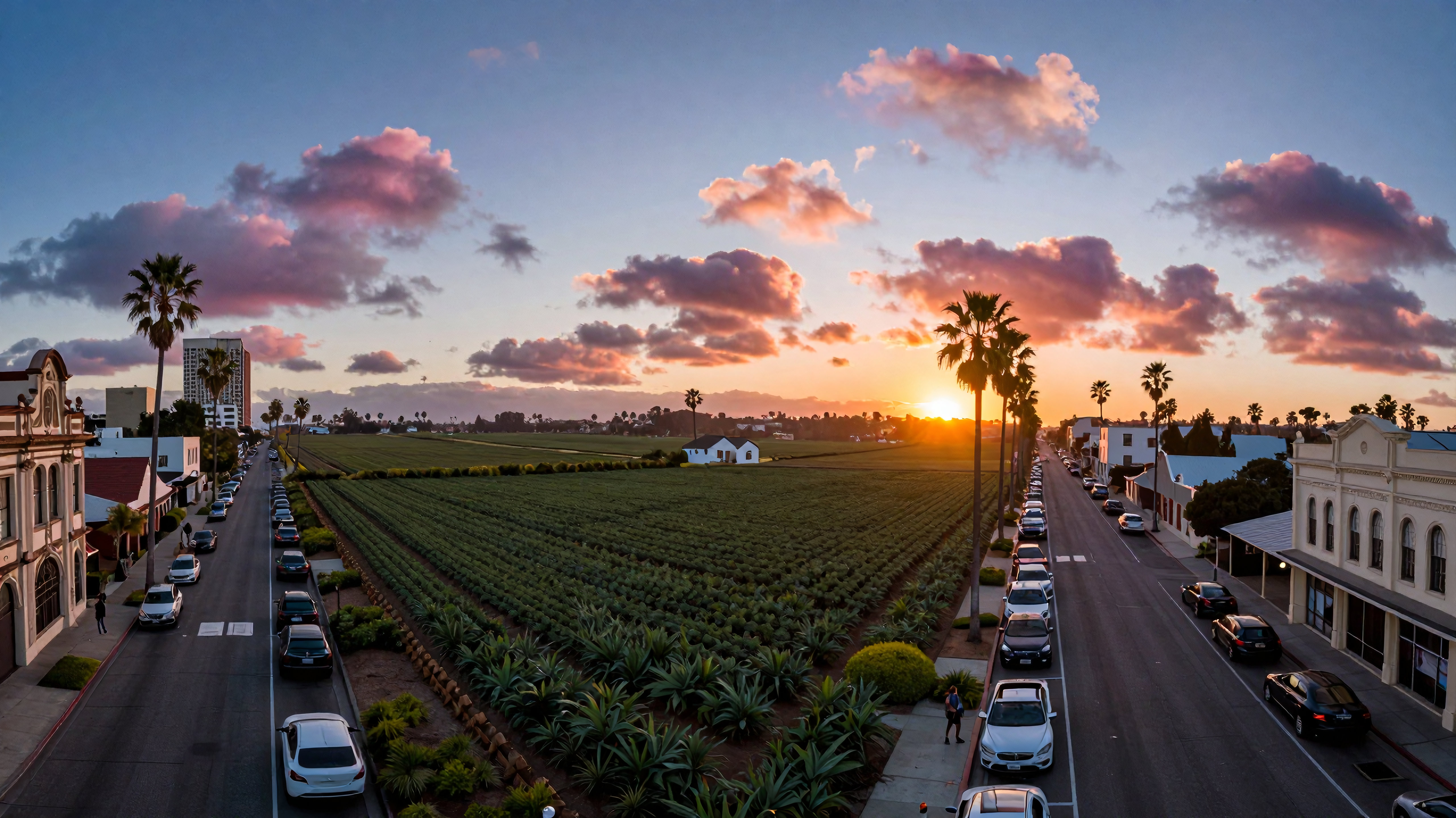 Agricultural Valley and Townscape at Sunset