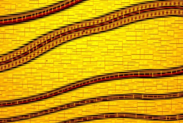 Vibrant geometric pattern with flowing black lines.