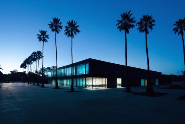 Modern building with palm trees at twilight, illuminated glass windows, serene evening sky.