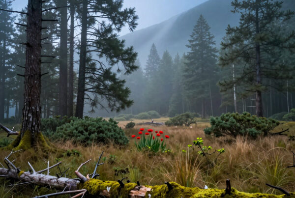 Serene misty forest with pines, red flowers, mossy logs, and mountain backdrop perfect for nature lovers seeking peaceful outdoor escape