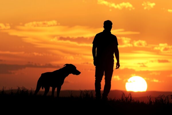 Silhouette of a man and dog against a vibrant sunset.