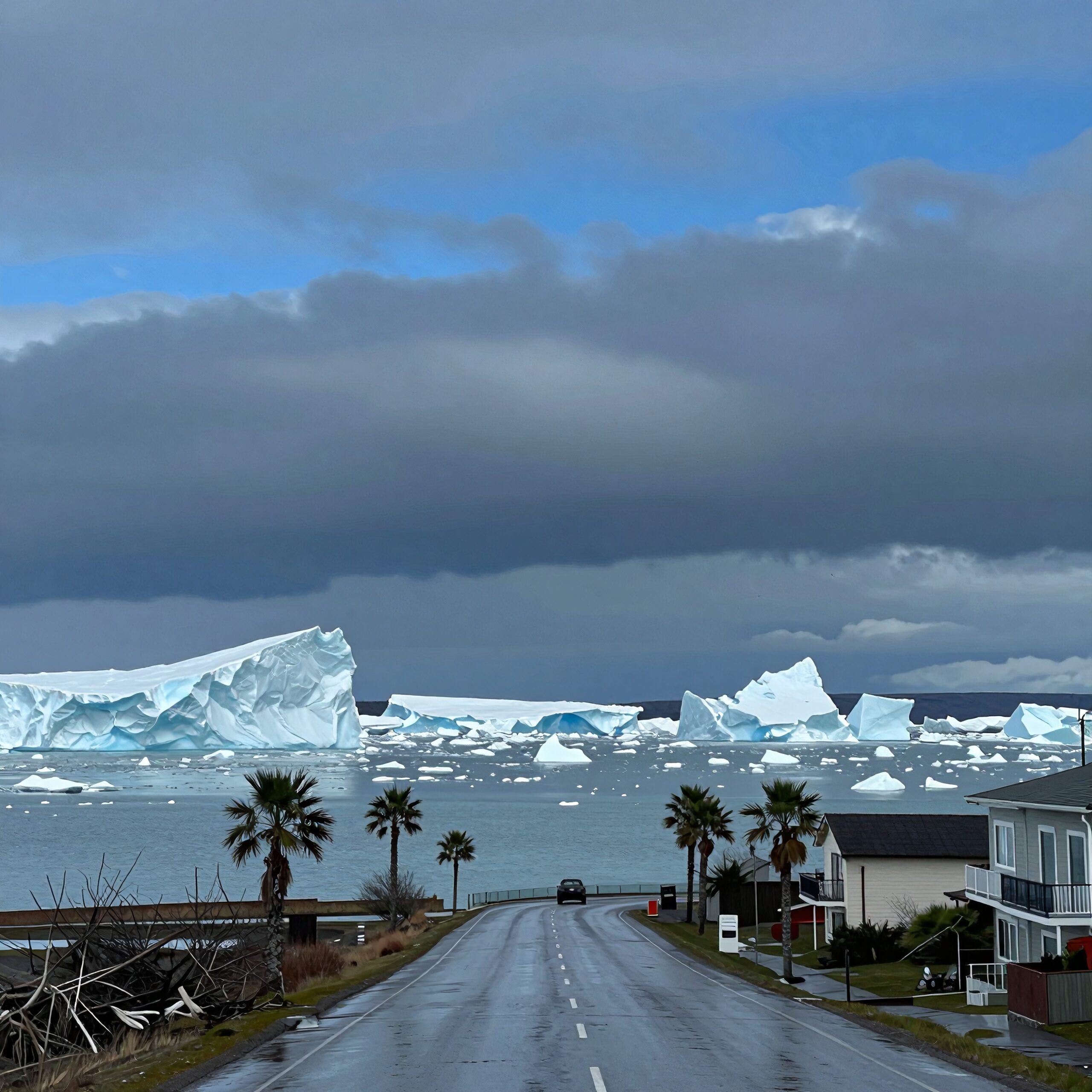 Unexpected Icebergs by the Seaside