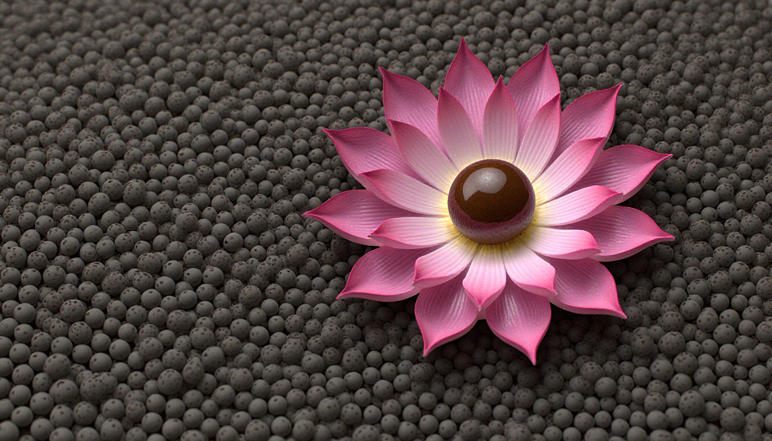 Pink Flower on Gray Spheres