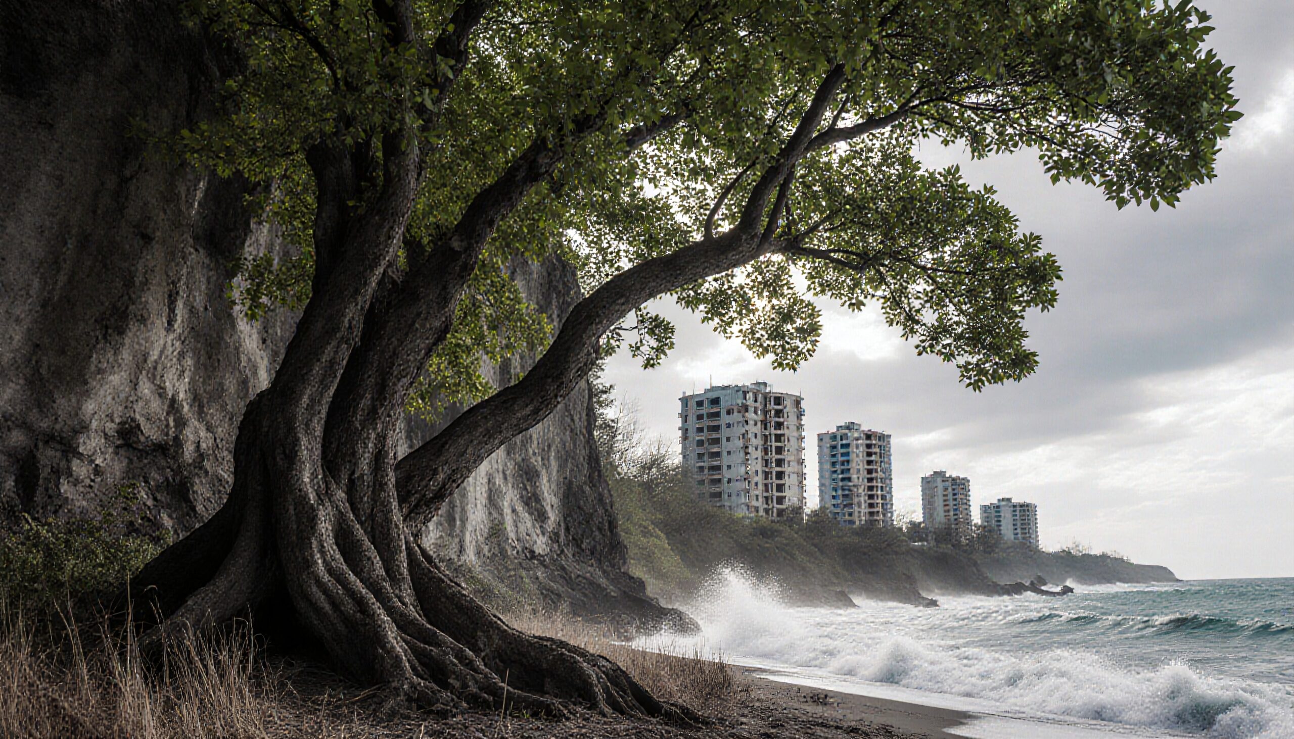 Contrasting Nature and Urban Life