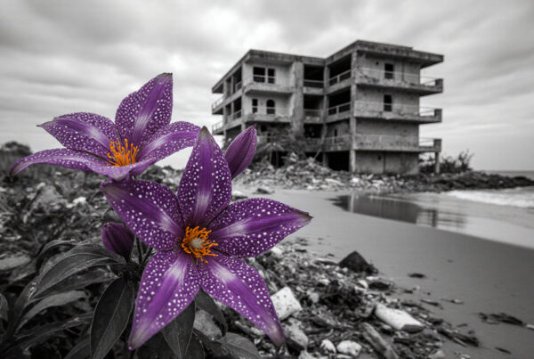 Vibrant purple speckled flowers on beach with abandoned concrete building ruins background