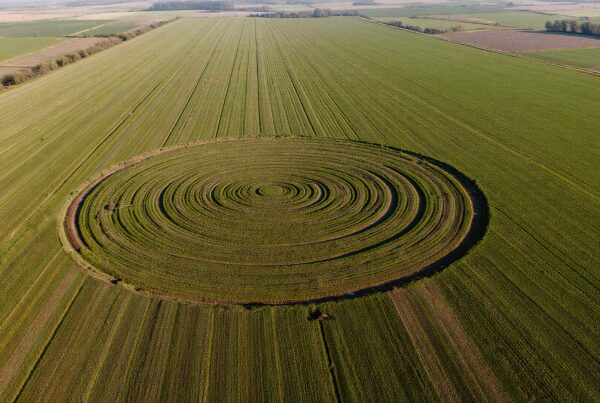 Aerial view of a detailed crop circle in a vast, green field.