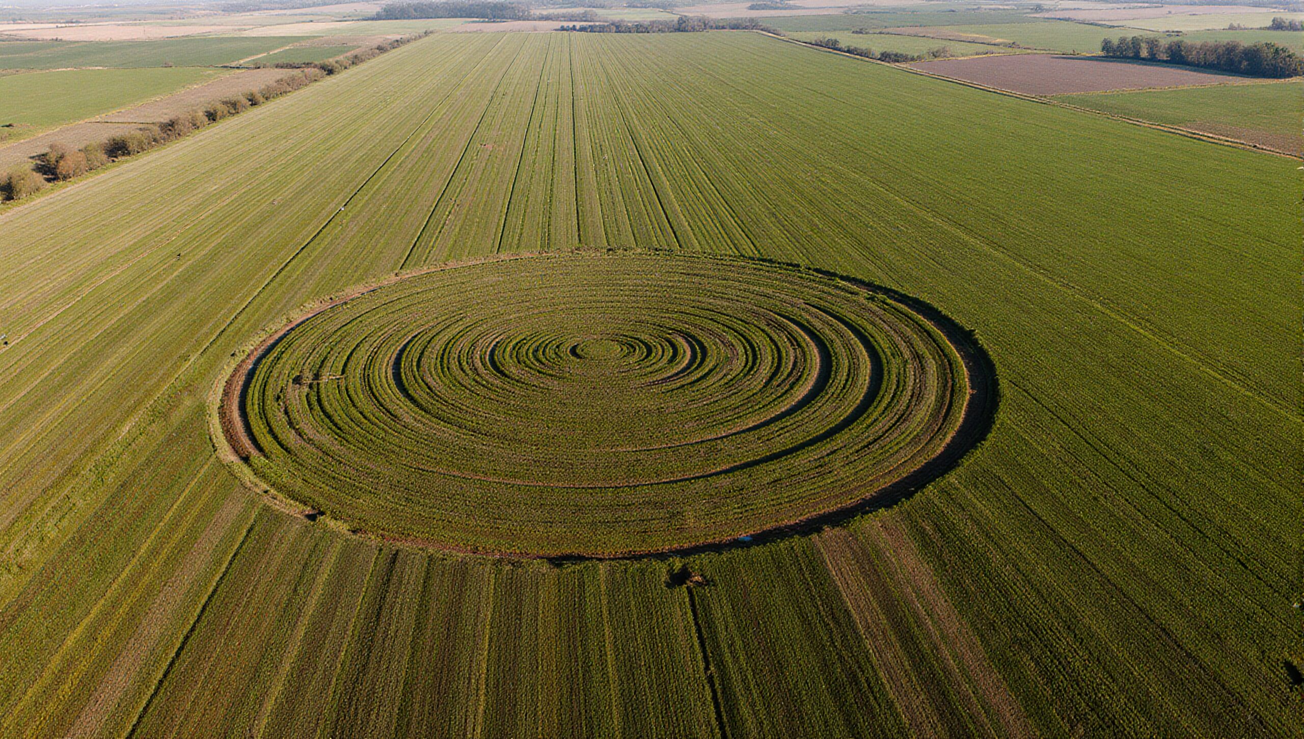 Enigmatic Crop Circle in Field
