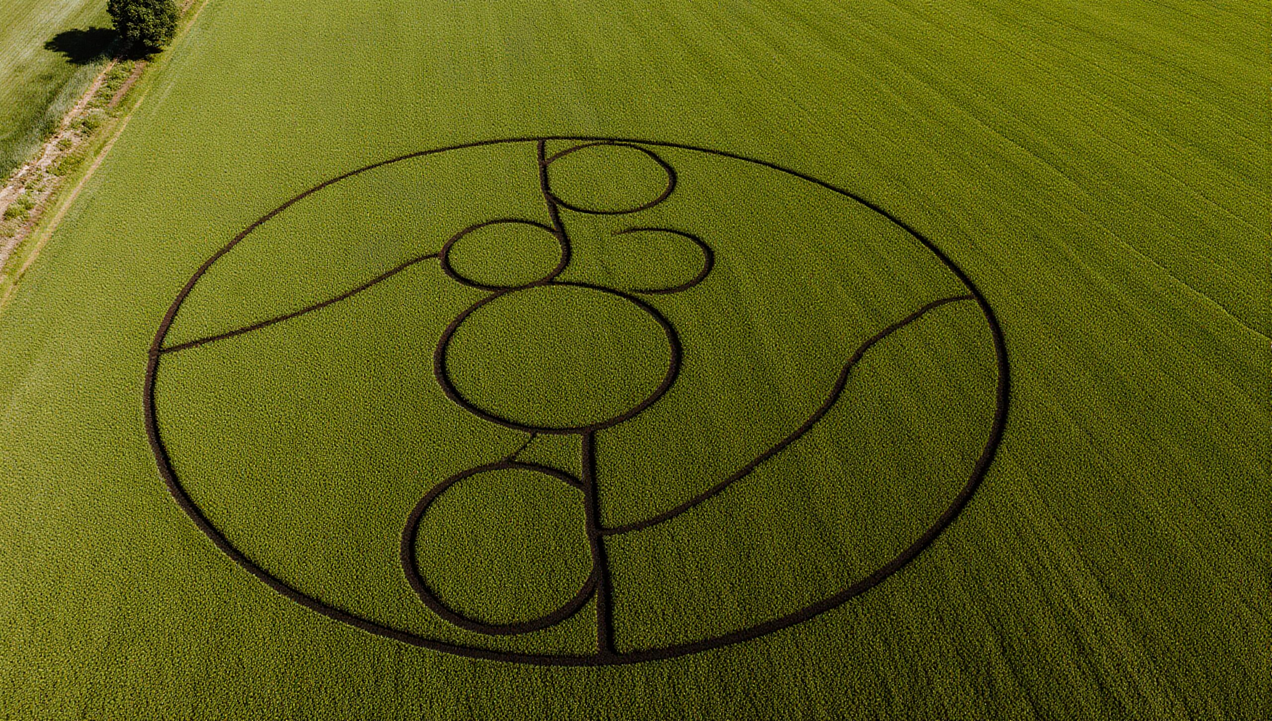 Mysterious Crop Circle Art Formation