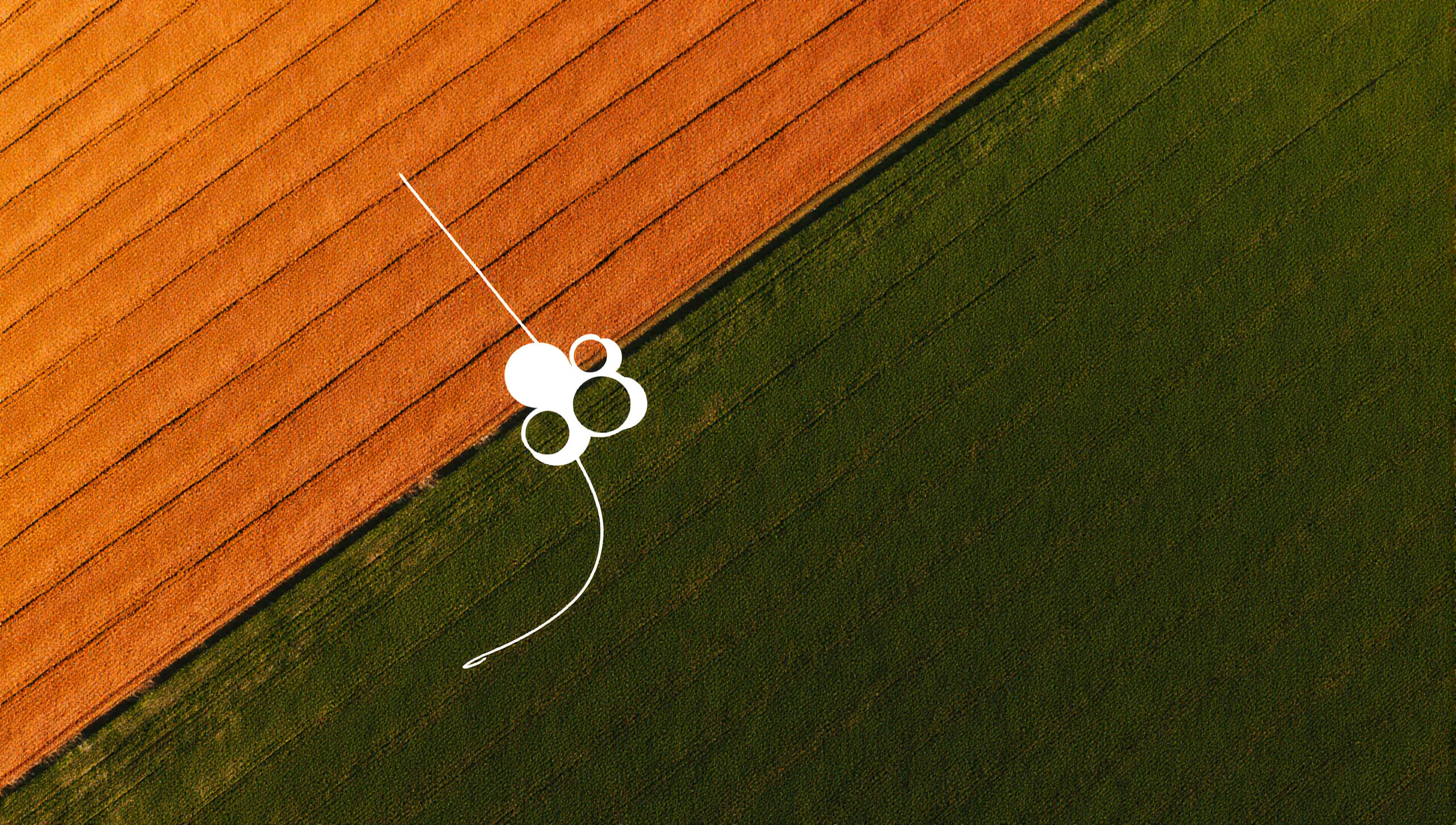 Symmetry in Aerial Farmlands