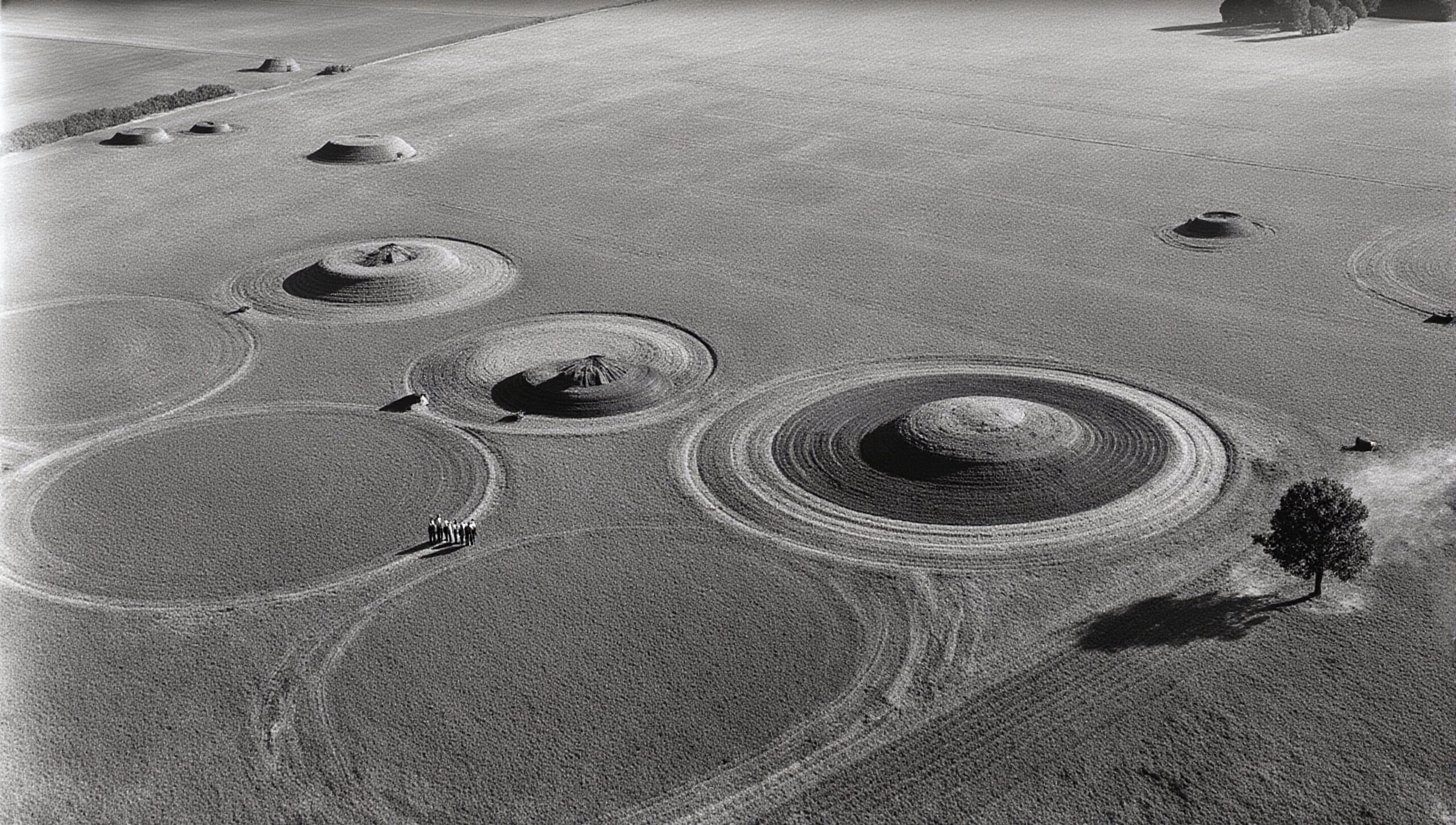 Crop Circles Alien Artifacts