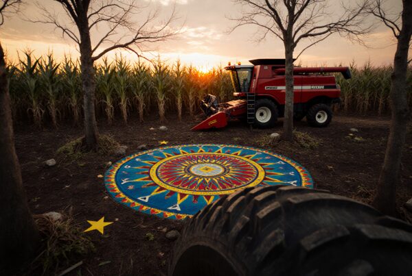 A mandala in a cornfield at sunset with a combine.