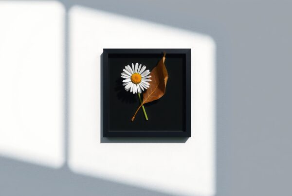 A daisy and leaf in minimalistic black frame art.