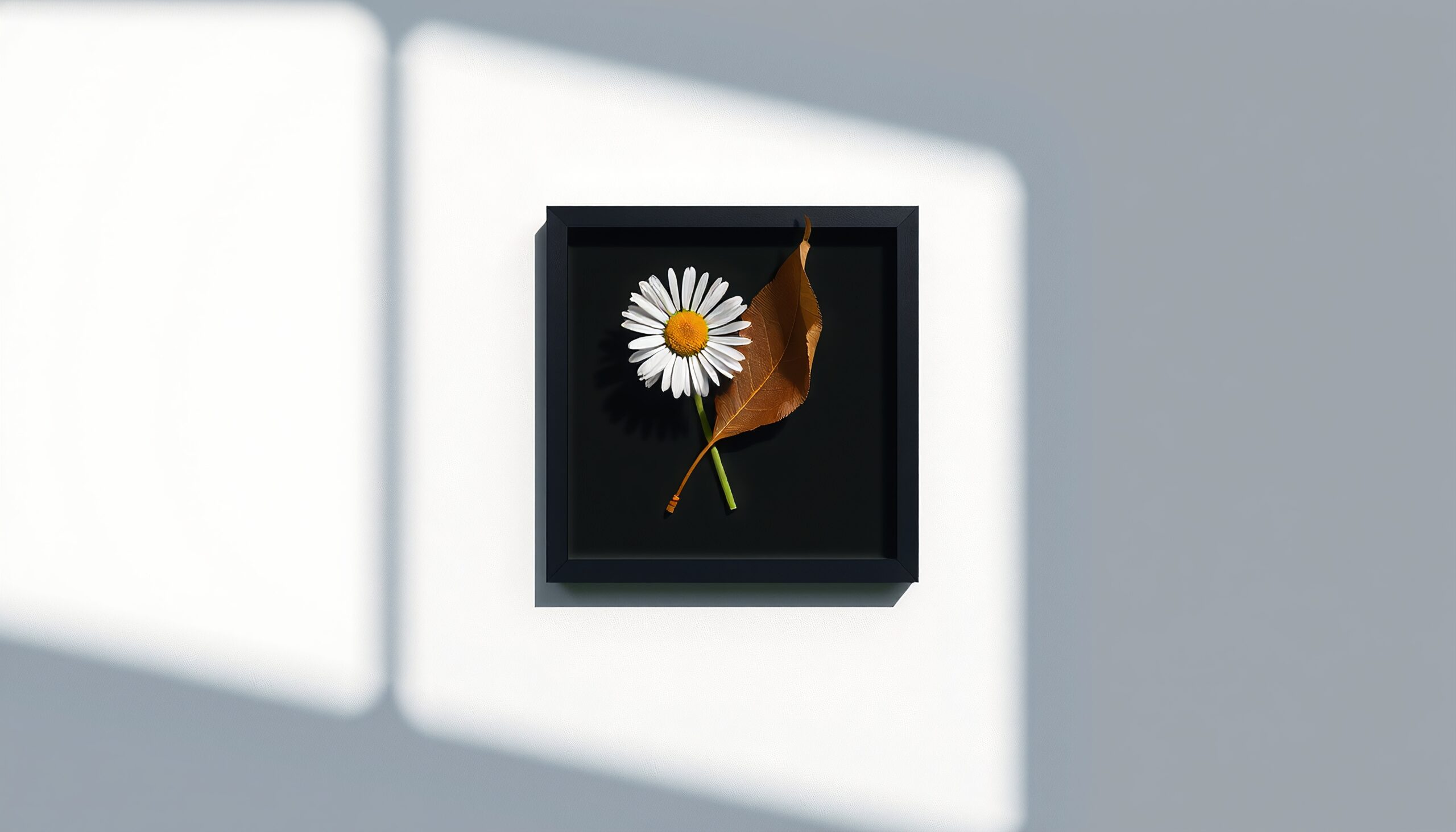 Daisy and Leaf Minimalist Art