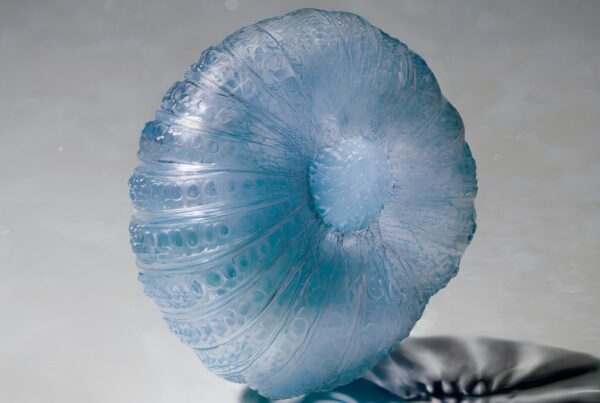 A translucent blue object with intricate textures and shadow play.