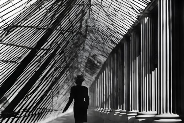 A lone figure walks beneath a glass ceiling casting intricate shadows in a formal, columned corridor.