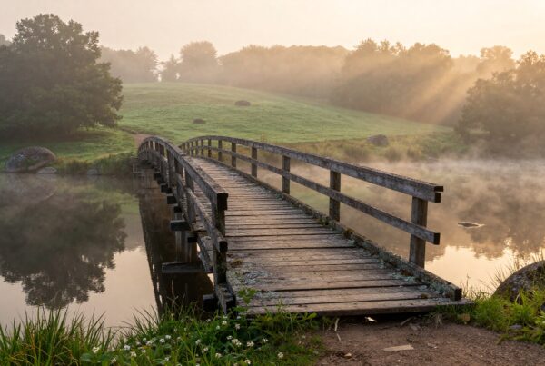 Wooden bridge over misty river with morning sunlight filtering through trees, creating a serene and tranquil atmosphere.