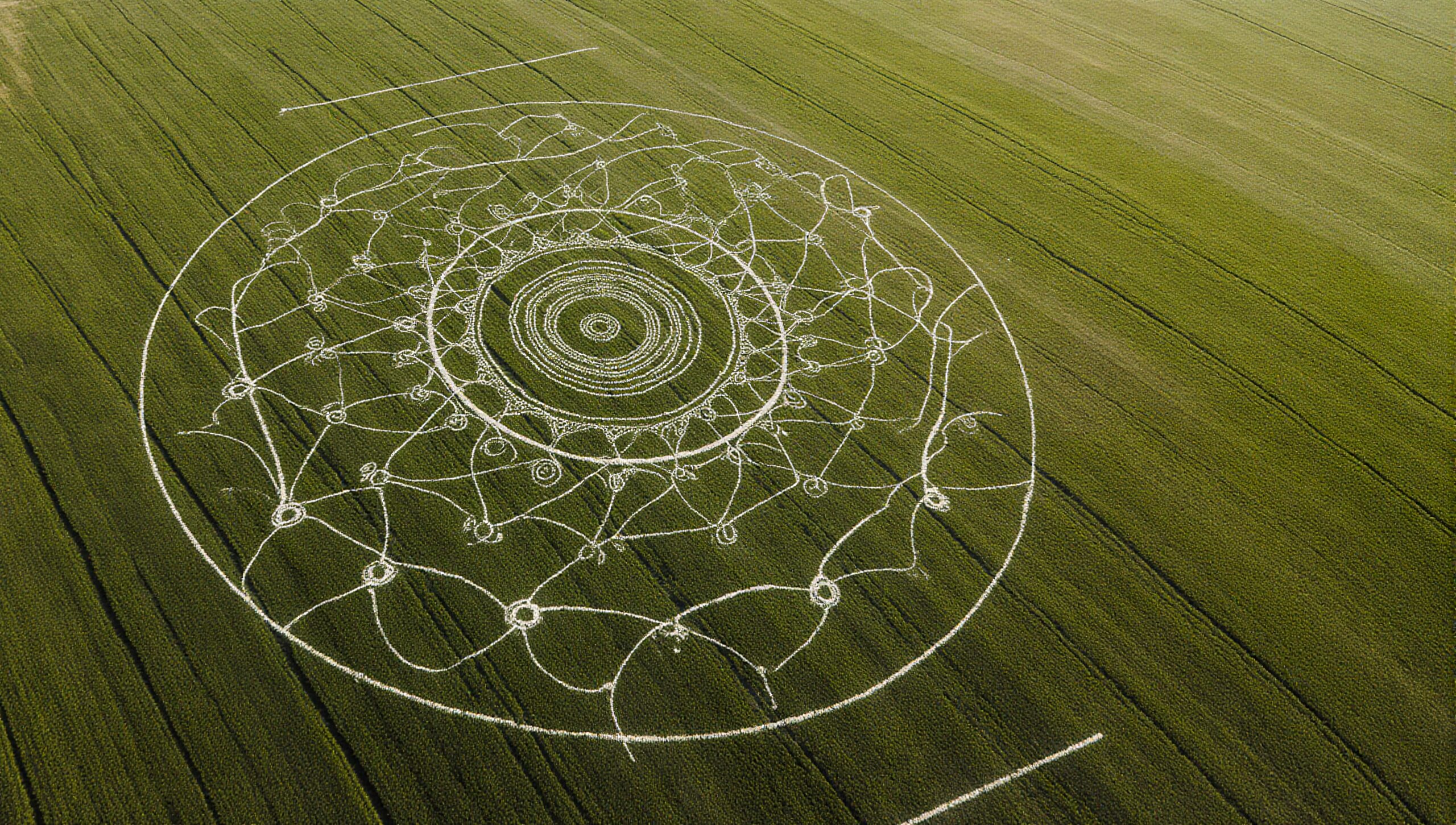 Intricate Crop Circle Design Discovered