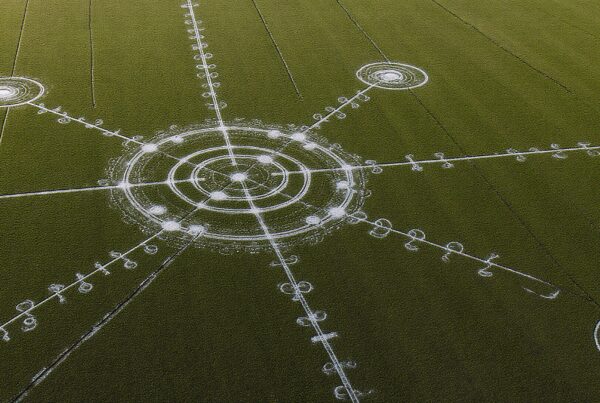 Aerial view of an intricate crop circle design in a green field, featuring concentric geometric patterns and connecting lines.