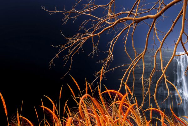 Surreal landscape with tree branches, waterfall, and vibrant-colored grass against a dark sky.