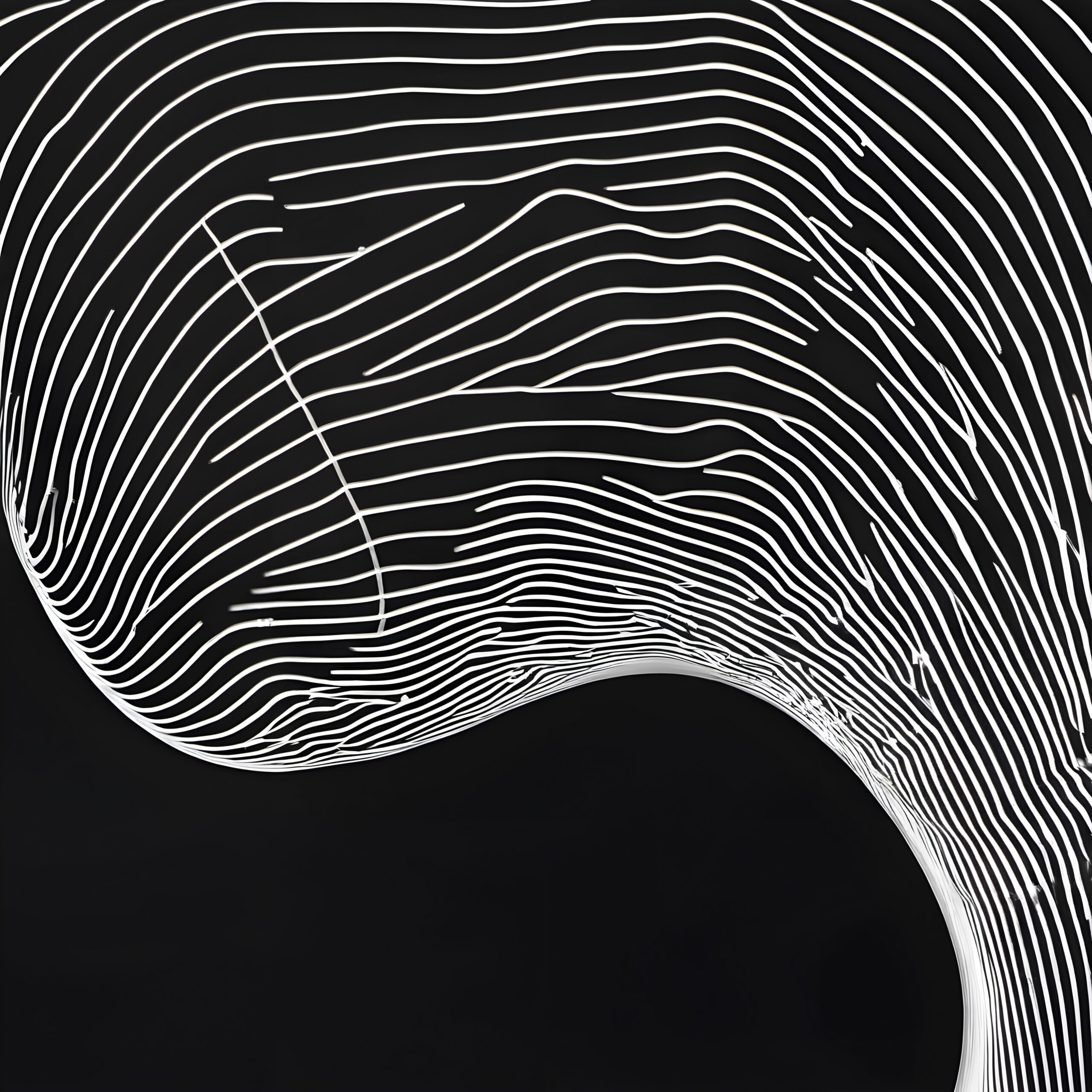 Abstract Flowing Lines on Black