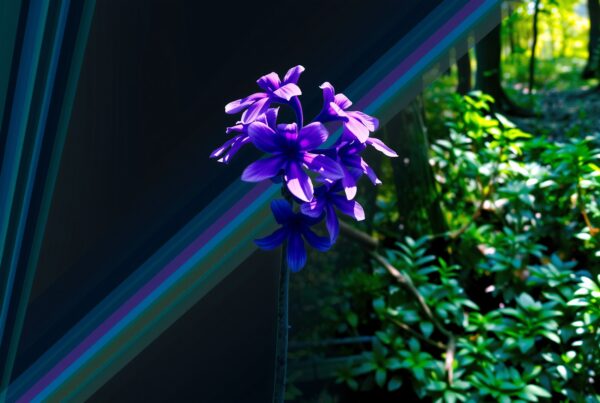 A vibrant purple flower stands out with a geometric pattern in a lush green forest background.