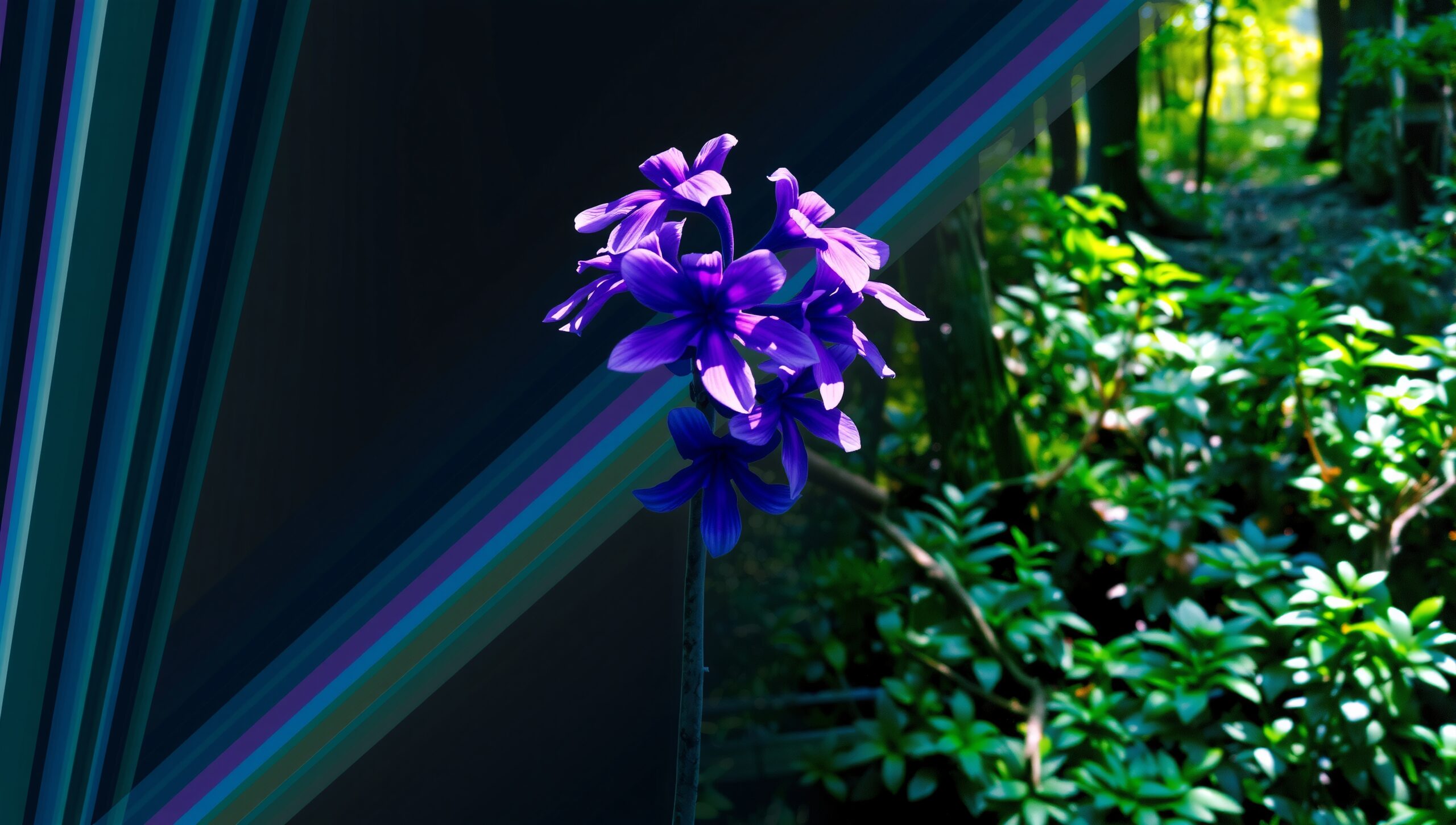 Purple Flower in Mystical Forest